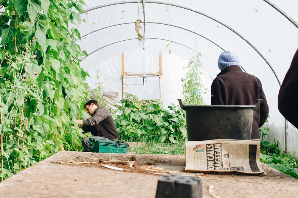 Gartenpflege Aubing