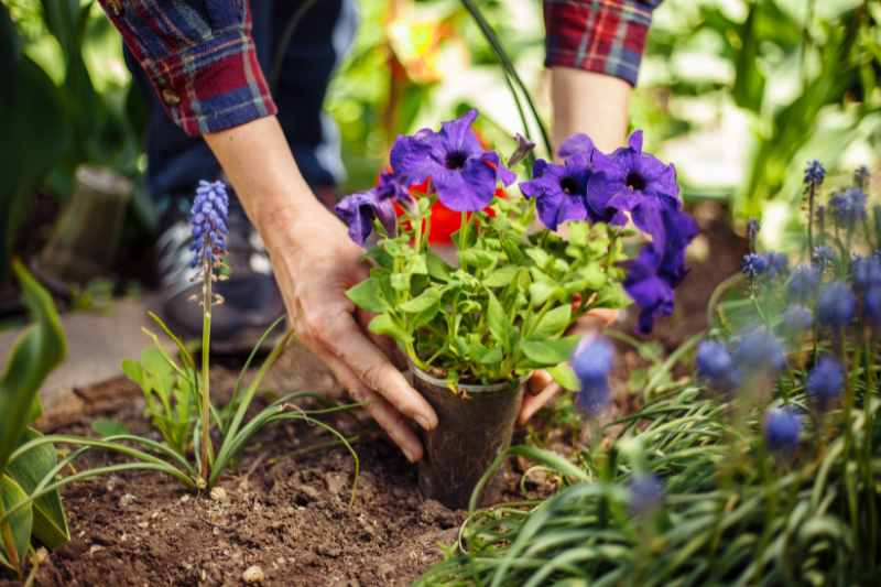 gartenpflege aubing